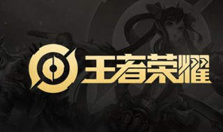 王者荣耀好友组队中是什么意思（王者荣耀跟别人组队显示什么）