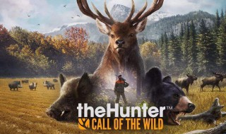 荒野的呼唤武器技能加点（荒野的召唤步枪技能加点）