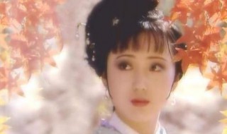 黛玉房中的鹦鹉能背诵何作品（黛玉的鹦鹉能背诵什么）