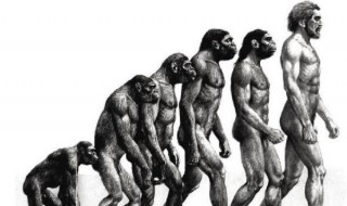 概括<物种起源>一书中写作（物种起源文章概要）