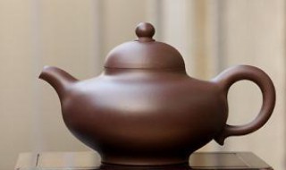 紫砂壶是什么壶（真正的紫砂壶是什么样的）