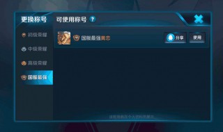 王者荣耀国服称号怎么设置(王者荣耀国服称号怎么设置不显示)