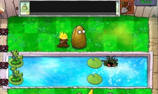 植物大战僵尸一的攻略 植物大战僵尸一的攻略方法