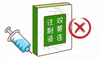 双黄连的注意事项（双黄连的注意事项有哪些）