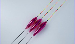 鱼漂一般长度是多少（鱼漂的长度最长多少）