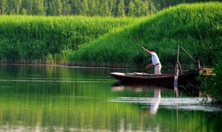 春天降温第一天好钓鱼吗 春天降温第一天好钓鱼吗