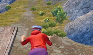 和平精英如何不上飞机（和平精英怎么不上飞机）