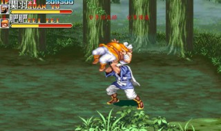 吞食天地2关羽在哪里(吞食天地2关羽在哪里打)