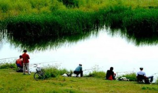 清明过后钓鱼适合钓多深（清明过后钓鱼适合钓多深的水）