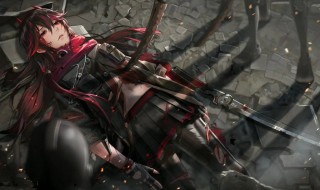 战双帕弥什是什么(战双帕弥什是什么意思)