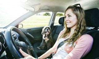 车辆跑偏是为什么 什么叫车辆跑偏