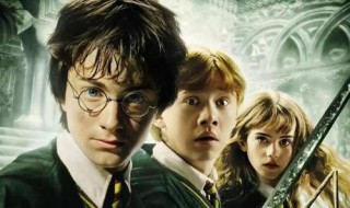 麻瓜怎么去霍格沃茨（九大最强魔杖）