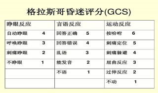 gcs评分标准（gcs评分标准及意义）