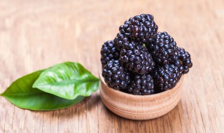 桑葚和什么一起泡酒好（桑葚和什么一起泡酒好?）