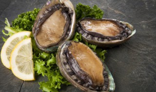 怎么做鲍鱼才最好吃（怎么做鲍鱼才最好吃 视频）