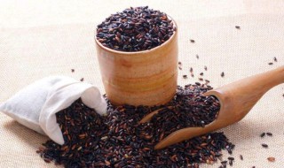 黑糯茶什么时候喝最好（黑糯米茶什么时候喝最好）