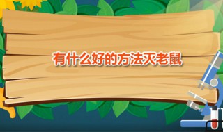 有什么好的方法灭老鼠（有没有灭老鼠的好方法）