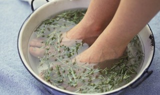 艾草和什么一起泡脚好（艾草和什么放在一起泡脚好）