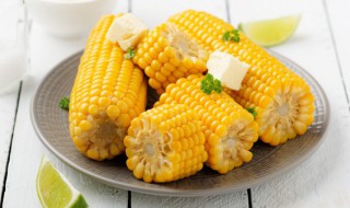 番茄玉米排骨汤的做法 番茄玉米排骨汤的做法视频