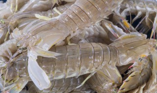 椒盐虾爬的做法（椒盐虾爬的做法大全）