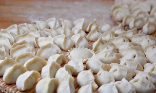 白菜猪肉馅饺子(白菜猪肉馅饺子怎么调好吃)