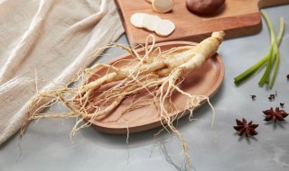 人参和什么一起泡酒好 10斤白酒泡多少人参