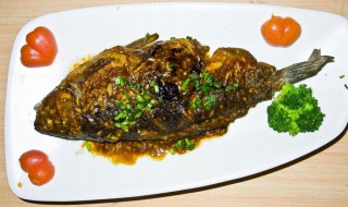 简单又好吃的鲫鱼做法 简单又好吃的鲫鱼做法视频