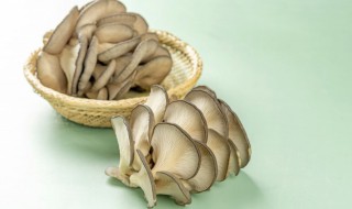 肉炒菇的家常做法 肉炒菇的家常做法大全