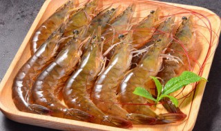 大虾海木耳炖冬瓜的做法（大虾海木耳炖冬瓜的做法大全）