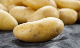 土豆饼怎么做好吃简单做法 土豆饼怎么做好吃简单做法视频西餐中土豆泥