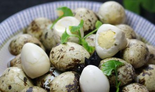 清卤鹌鹑蛋的做法（清卤鹌鹑蛋的做法窍门）