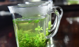 绞股蓝和什么一起泡好(绞股蓝和什么一起泡最好)