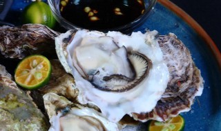 不开壳新鲜生蚝可以存放多久 没开壳的生蚝能放几天不用放冰箱