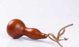 葫芦包浆的方法 葫芦包浆方法用什么油