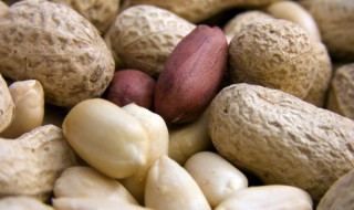 红烧五花肉煮花生怎么做（五花肉炖花生的做法窍门）