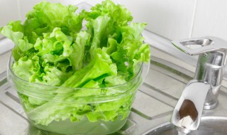 餐馆的炝生菜怎么做的（炝生菜怎样做）