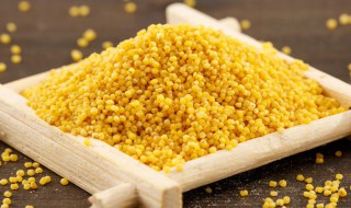 烧的小米稀饭怎么做（烧的小米稀饭怎么做好吃）