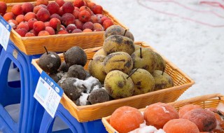 正确冻梨制作方法（正确冻梨制作方法视频）