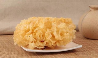 银耳怎么挑选好坏 好银耳怎么辨别