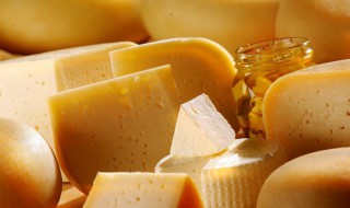 怎么挑选奶酪(怎么挑选奶酪的好坏)