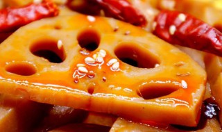 梅子莲藕怎么做 梅子莲藕怎么做才好吃