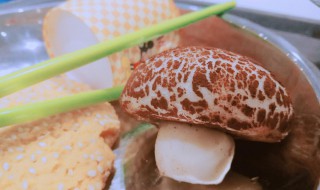 甜蘑菇怎么做（甜蘑菇怎么做最好吃）