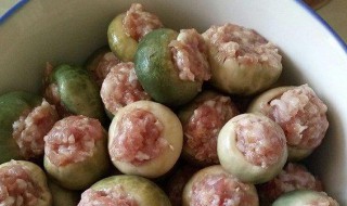 青头菌蒸肉做法窍门（青头菌蒸肉做法窍门视频）