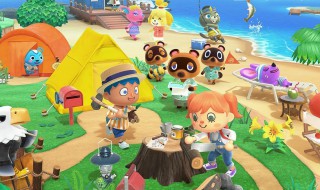 动森口袋整理技巧（动森口袋整理技巧3000和5000）