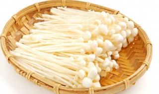 金针菇的功效与作用及禁忌 金针菇的功效与作用禁忌症