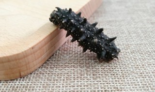 什么人不宜吃海参 女人吃海参的七大禁忌