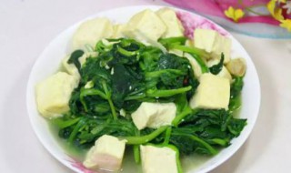 菠菜豆腐的做法（白菜炖豆腐的做法）