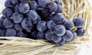 果酒的做法（水果酒的制作方法）