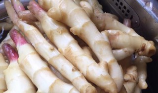 正宗的糖醋姜做法 正宗的糖醋姜做法视频