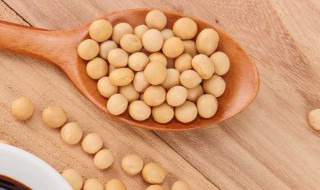 酥黄豆烧肉做法窍门(黄豆酥肉的做法)